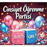 Cinsiyet Öğrenme Partisi